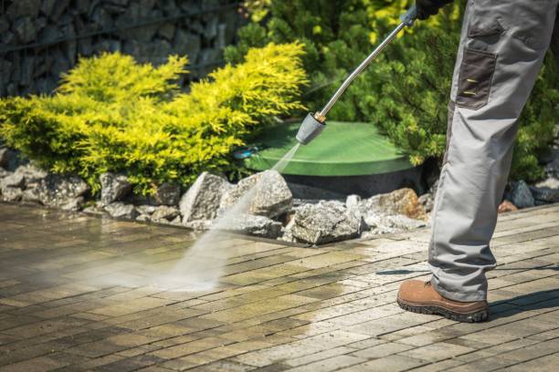Best Parking Lot and Garage Cleaning  in Citrus Park, AZ