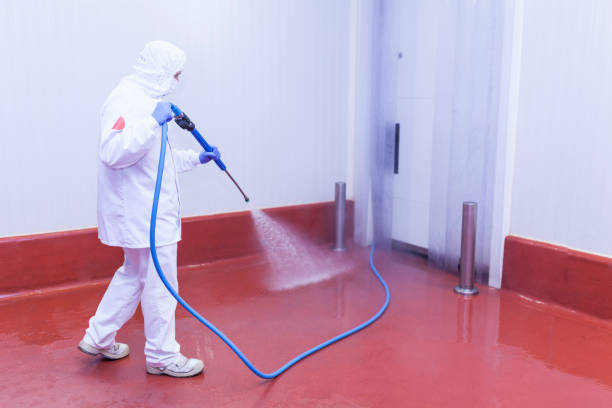Best Factory Floor Cleaning  in Citrus Park, AZ