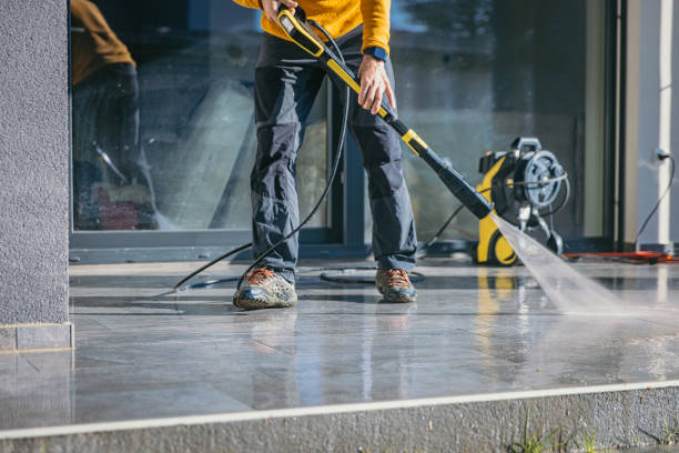 Animal Enclosure Cleaning in Citrus Park, AZ